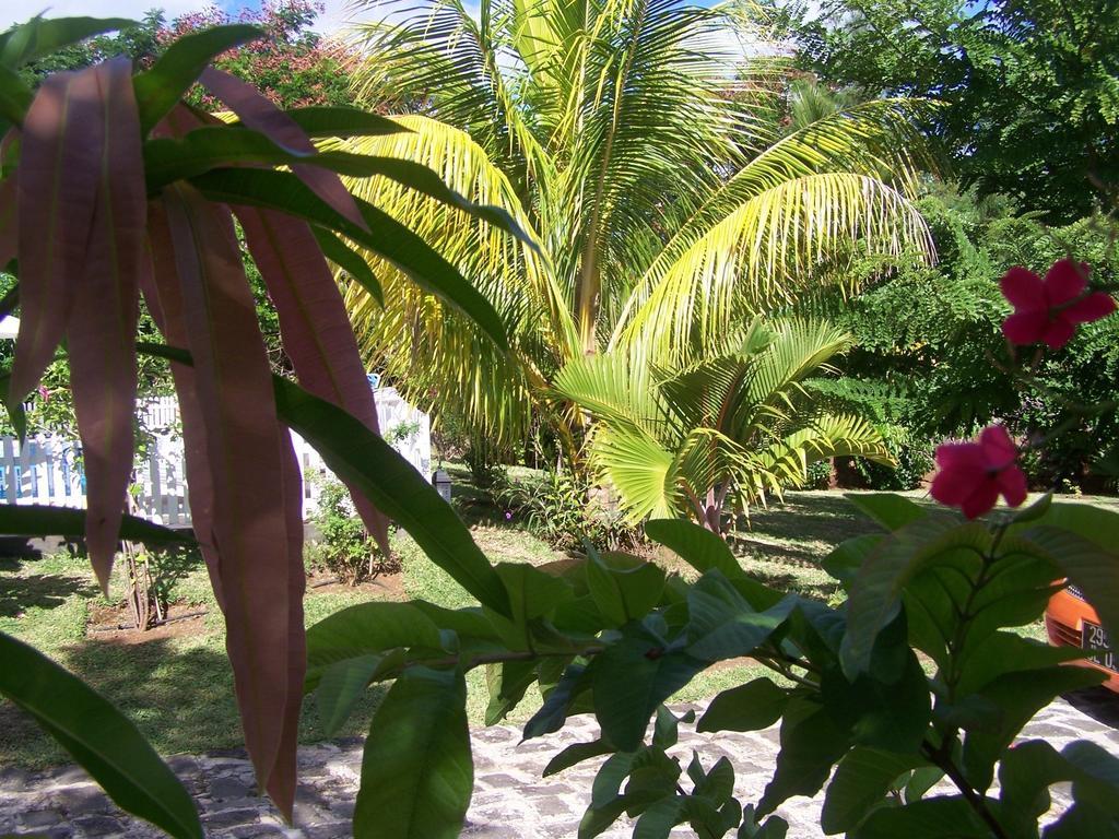 Bed And Breakfast Maison Papaye La Gaulette Exterior foto