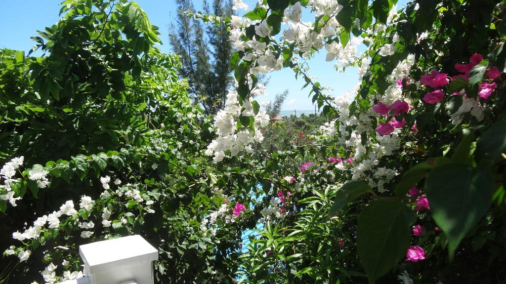 Bed And Breakfast Maison Papaye La Gaulette Exterior foto